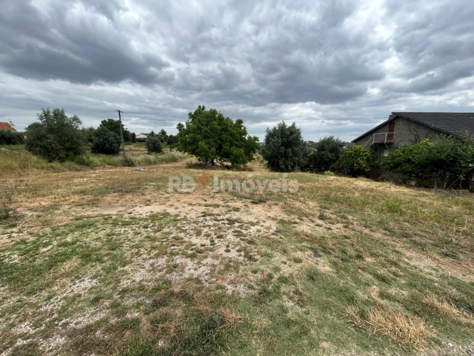 Terreno para Venda em São João Baptista e Santa Maria dos Olivais Foto 14