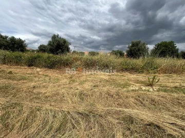Terreno para Venda em São João Baptista e Santa Maria dos Olivais