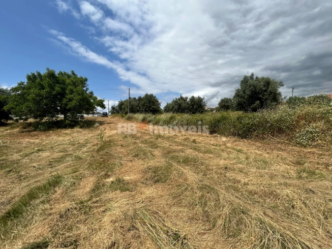 Terreno para Venda em São João Baptista e Santa Maria dos Olivais Foto 6