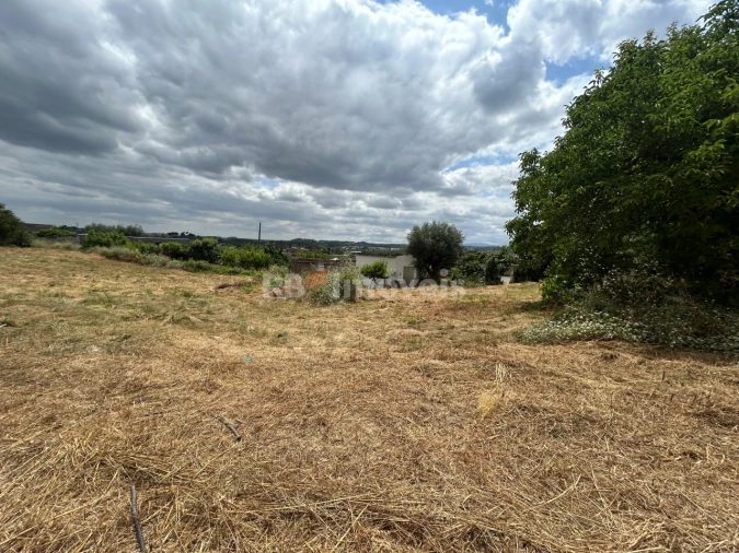 Terreno para Venda em São João Baptista e Santa Maria dos Olivais Foto 10