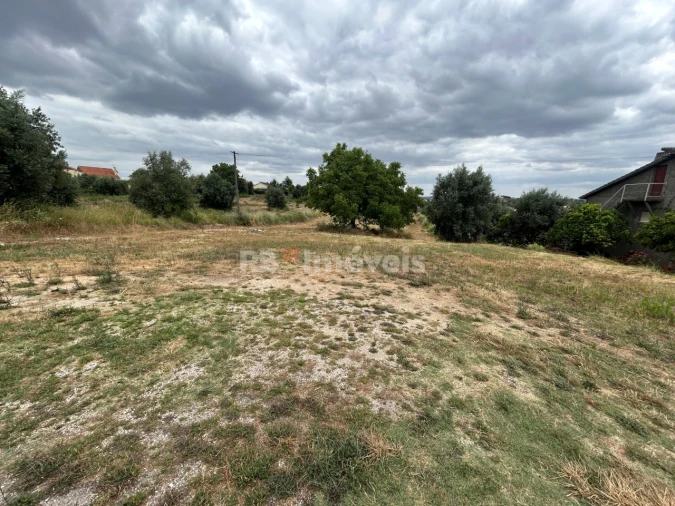 Terreno para Venda em São João Baptista e Santa Maria dos Olivais Foto 12