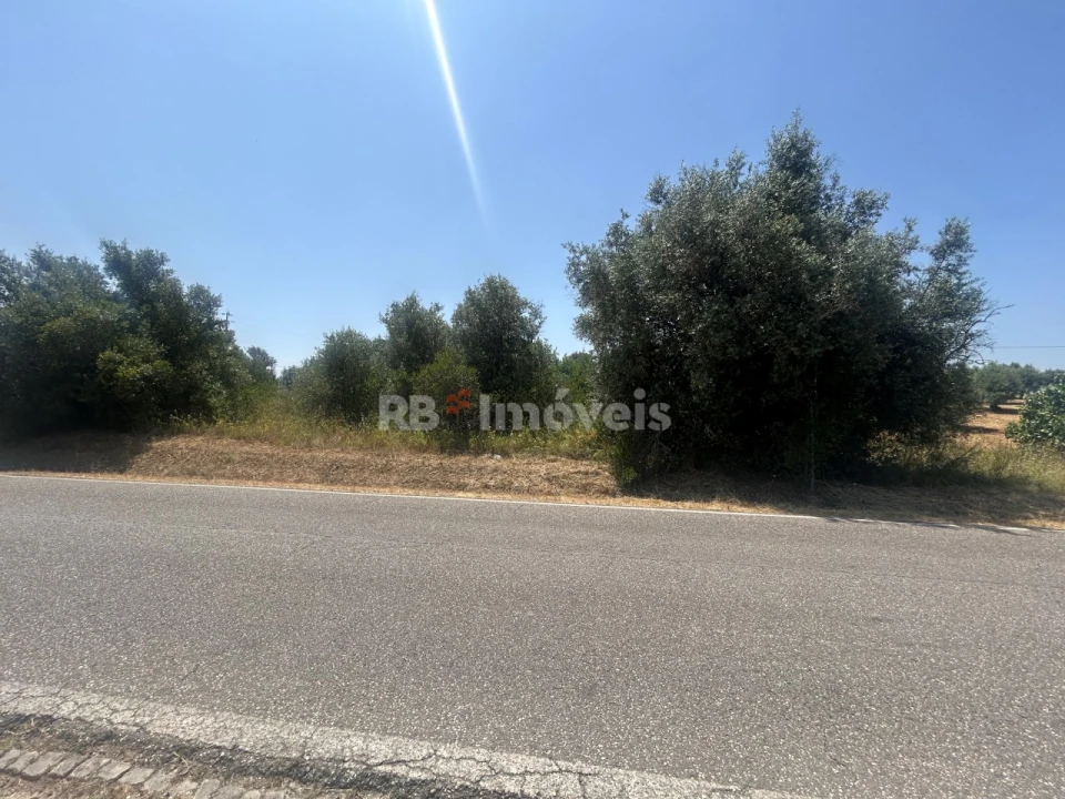 Terreno para Venda em Assentiz Foto 4