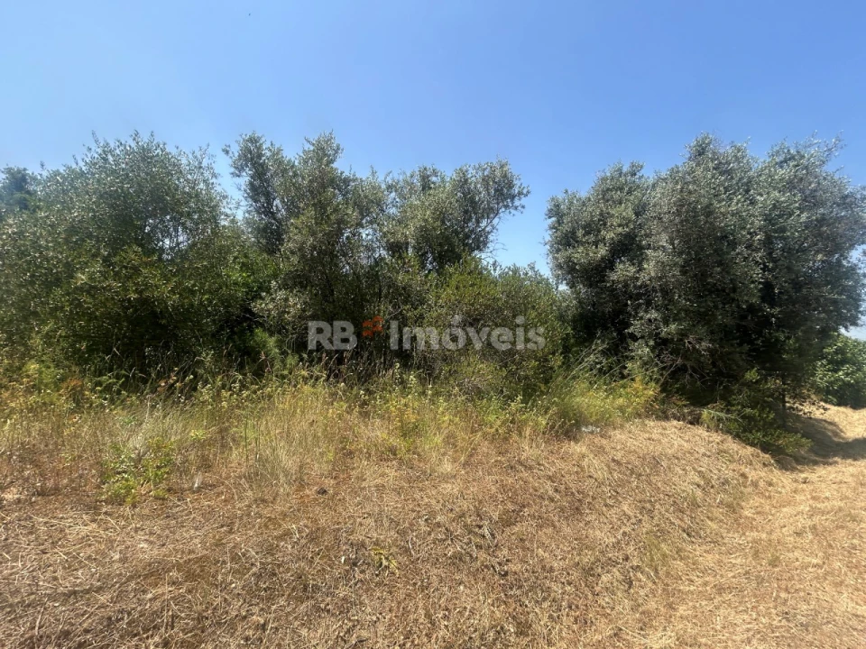 Terreno para Venda em Assentiz Foto 9