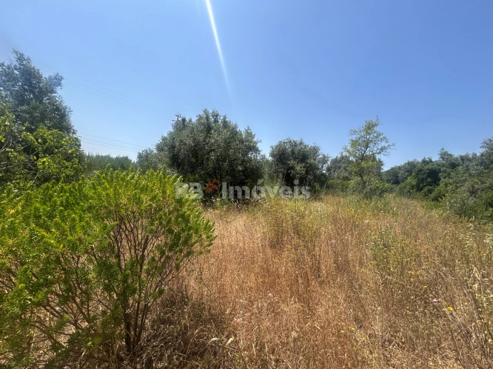 Terreno para Venda em Assentiz Foto 10