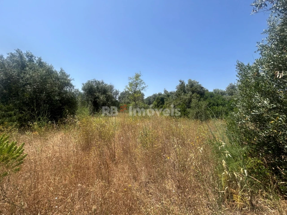 Terreno para Venda em Assentiz Foto 11