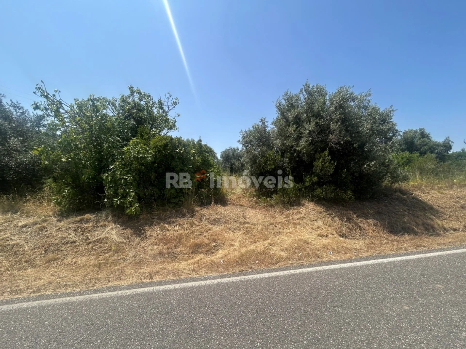 Terreno para Venda em Assentiz Foto 1