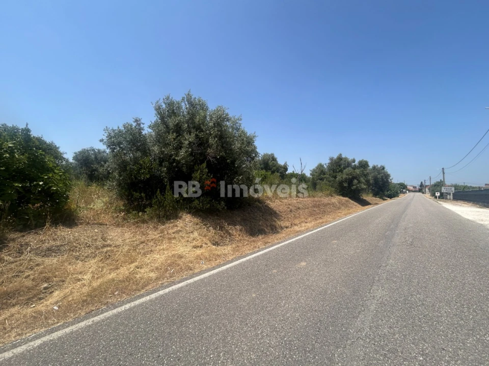 Terreno para Venda em Assentiz Foto 15