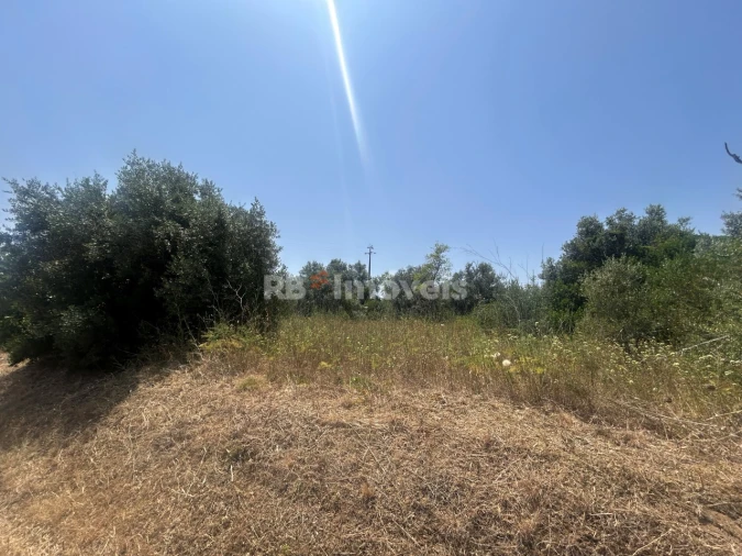 Terreno para Venda em Assentiz Foto 14