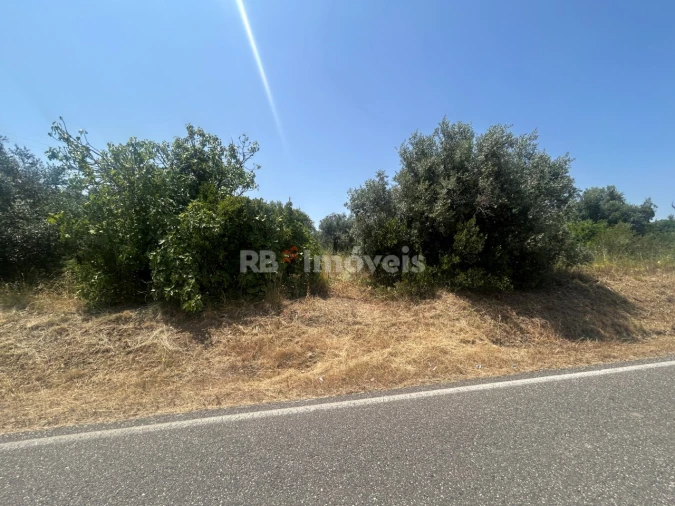 Terreno para Venda em Assentiz Foto 1