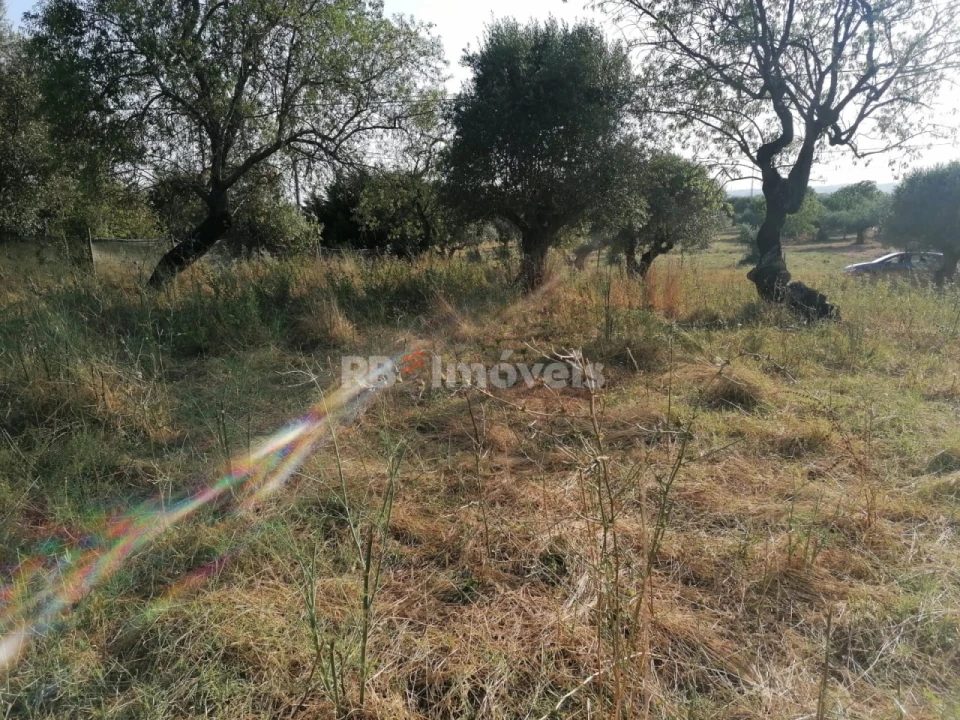 Terreno para Venda em Paialvo Foto 5