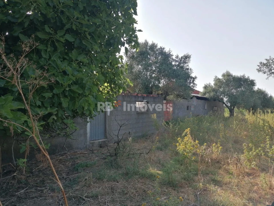 Terreno para Venda em Paialvo Foto 16