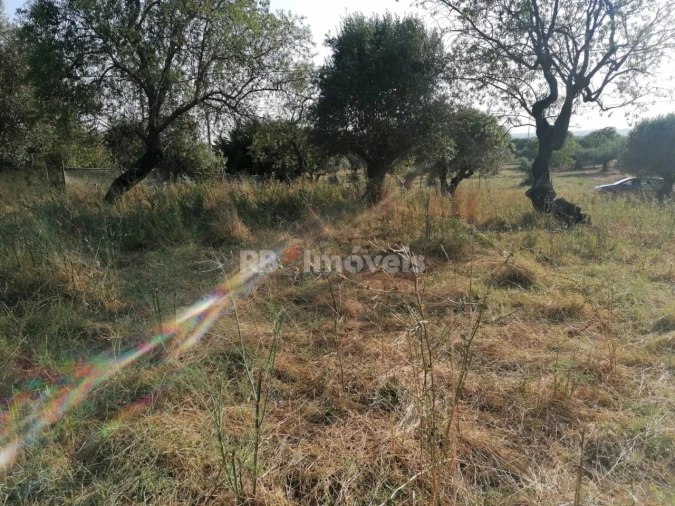 Terreno para Venda em Paialvo Foto 5