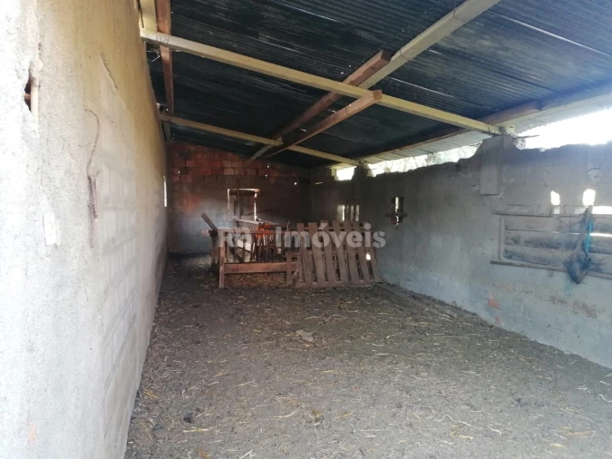 Terreno para Venda em Paialvo Foto 9