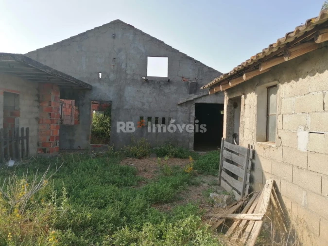 Terreno para Venda em Paialvo Foto 11