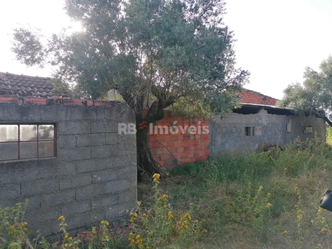 Terreno para Venda em Paialvo Foto 14