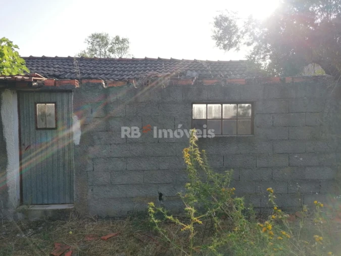 Terreno para Venda em Paialvo Foto 15