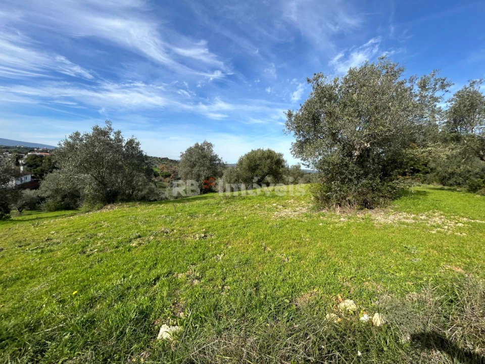 Terreno para Venda em Assentiz Foto 14