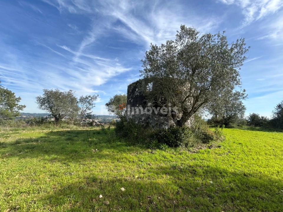 Terreno para Venda em Assentiz Foto 4