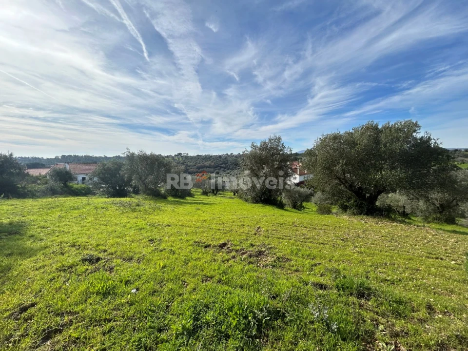 Terreno para Venda em Assentiz Foto 5