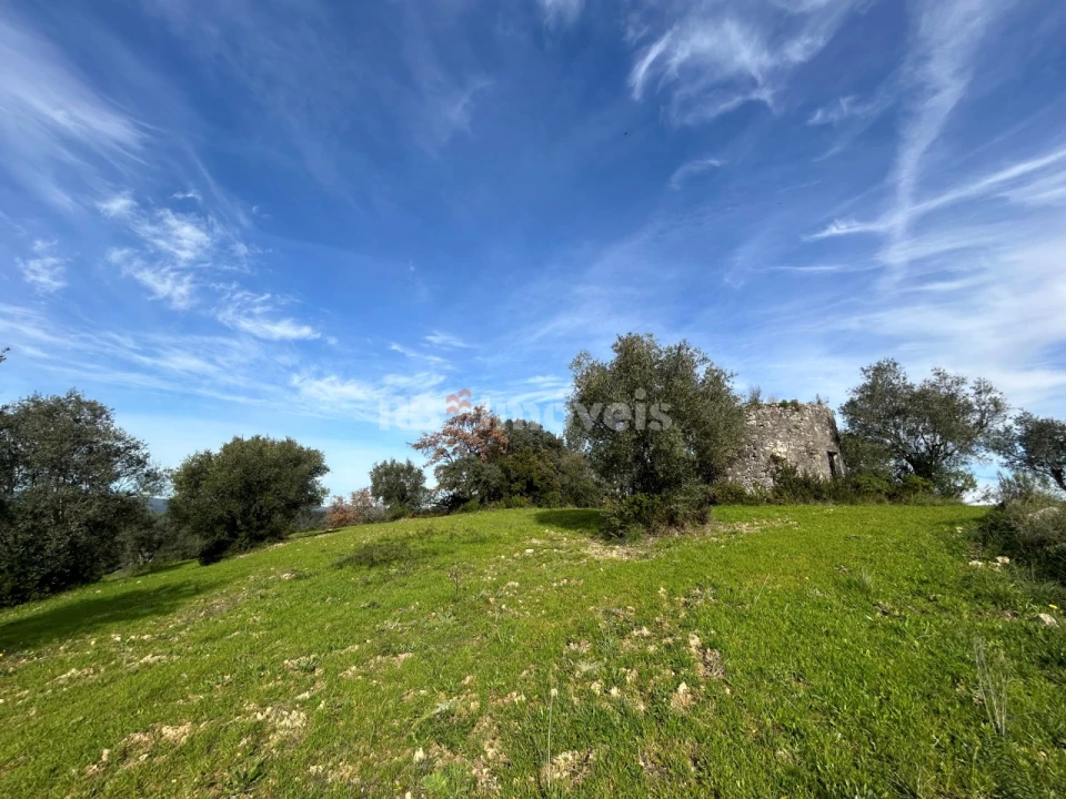 Terreno para Venda em Assentiz Foto 28