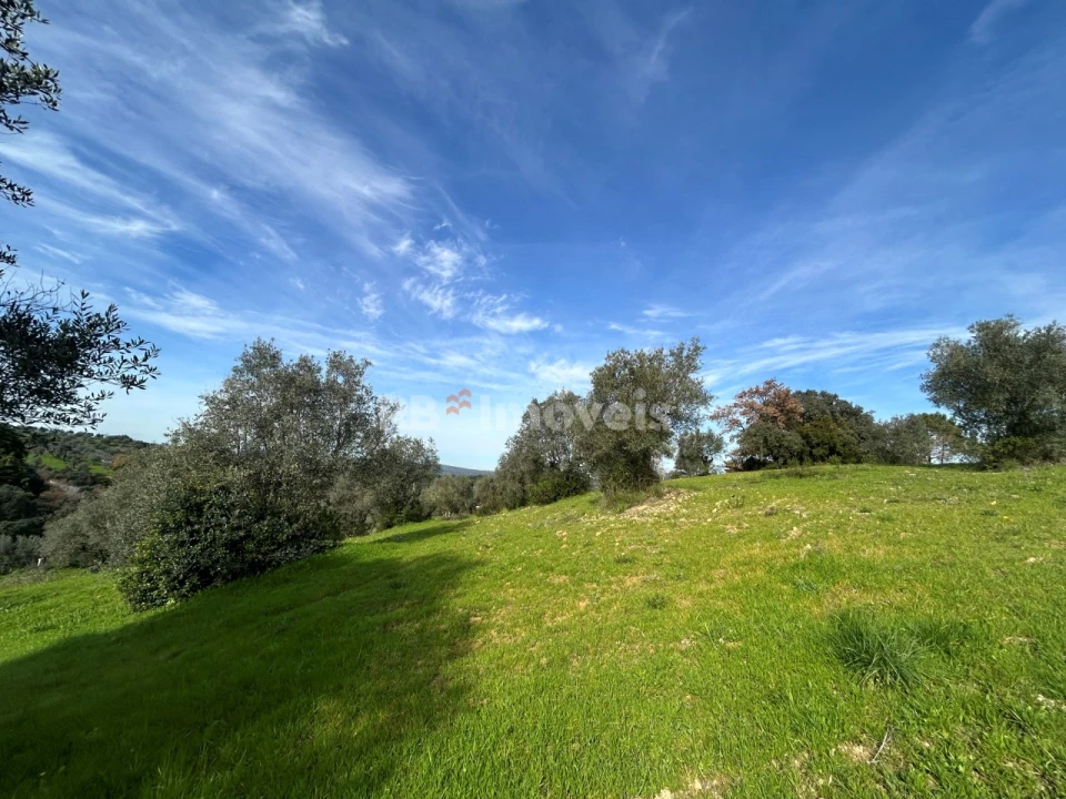 Terreno para Venda em Assentiz Foto 30
