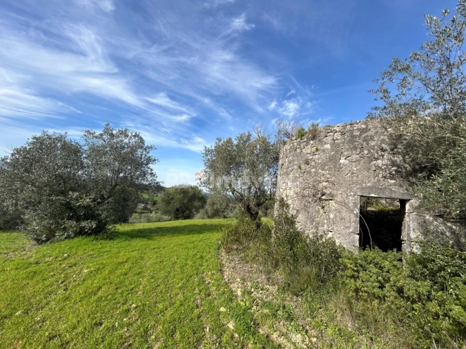 Terreno para Venda em Assentiz Foto 21
