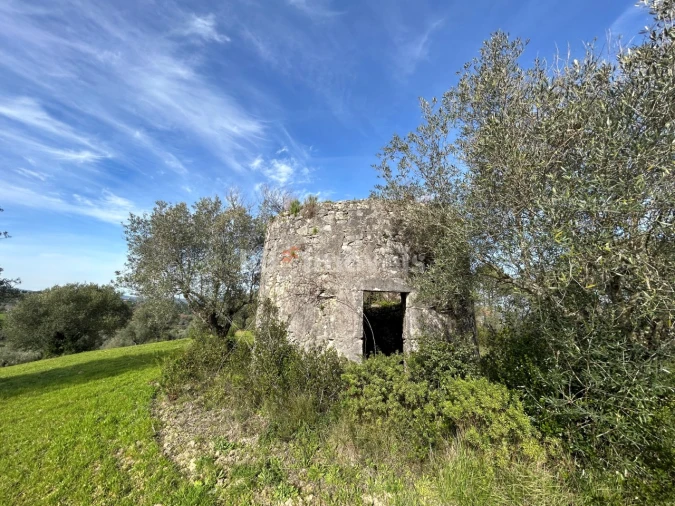 Terreno para Venda em Assentiz Foto 22