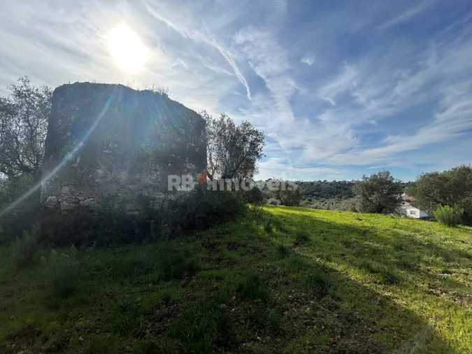 Terreno para Venda em Assentiz Foto 23