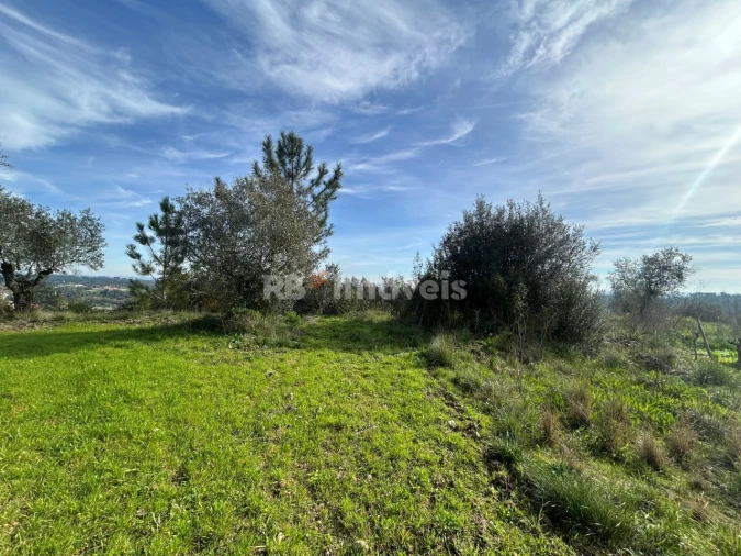 Terreno para Venda em Assentiz Foto 24