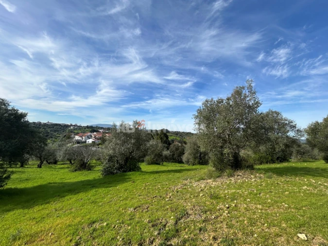 Terreno para Venda em Assentiz Foto 26