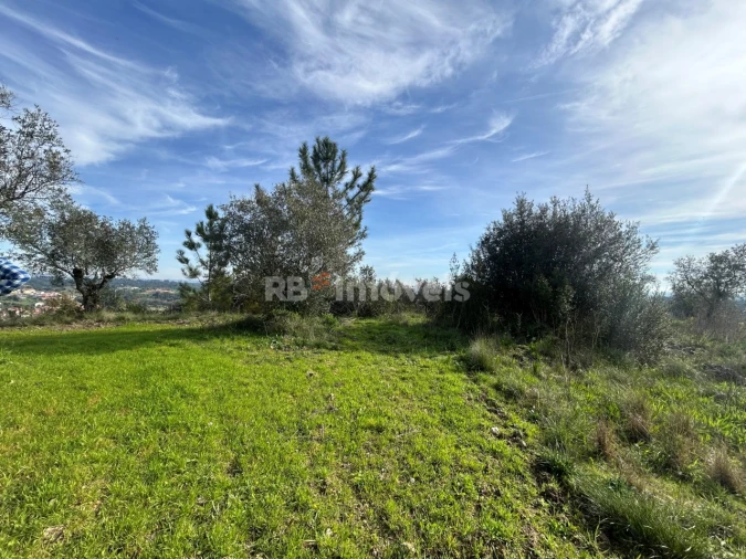 Terreno para Venda em Assentiz Foto 32