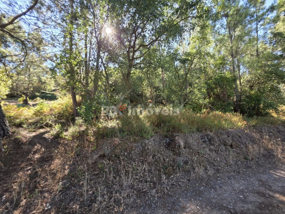 Terreno para Venda em Serra e Junceira Foto 2