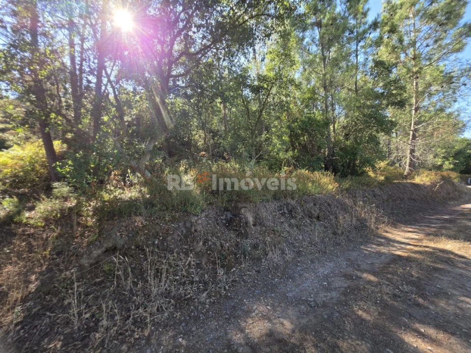 Terreno para Venda em Serra e Junceira Foto 4