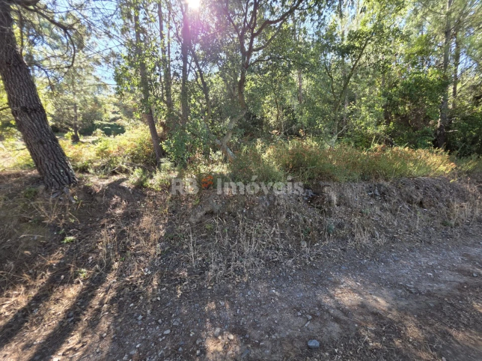 Terreno para Venda em Serra e Junceira Foto 6