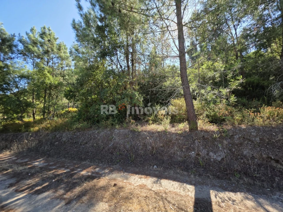Terreno para Venda em Serra e Junceira Foto 8