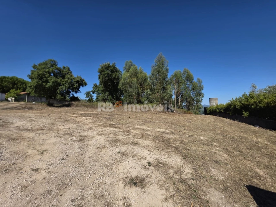 Terreno para Venda em Serra e Junceira Foto 11
