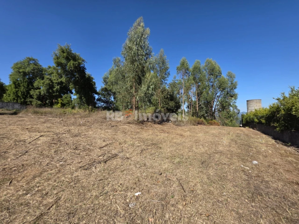 Terreno para Venda em Serra e Junceira Foto 13