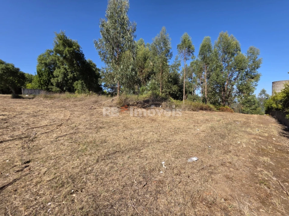 Terreno para Venda em Serra e Junceira Foto 1
