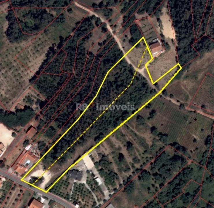 Terreno para Venda em Serra e Junceira Foto 21