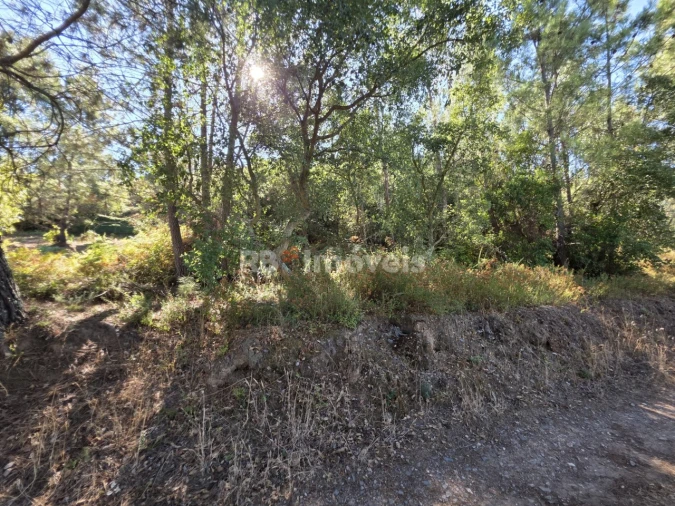 Terreno para Venda em Serra e Junceira Foto 2