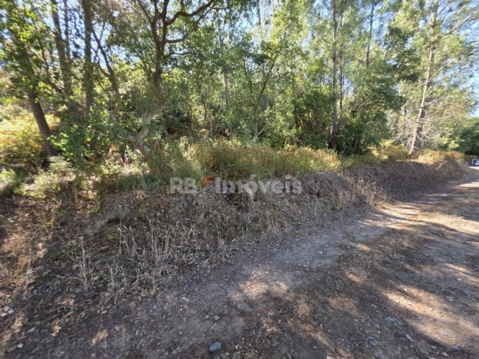 Terreno para Venda em Serra e Junceira Foto 3