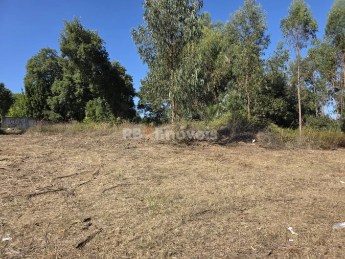 Terreno para Venda em Serra e Junceira Foto 14
