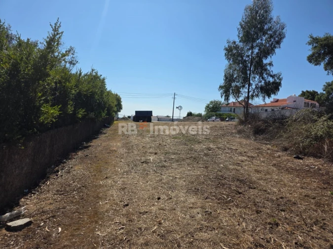 Terreno para Venda em Serra e Junceira Foto 15