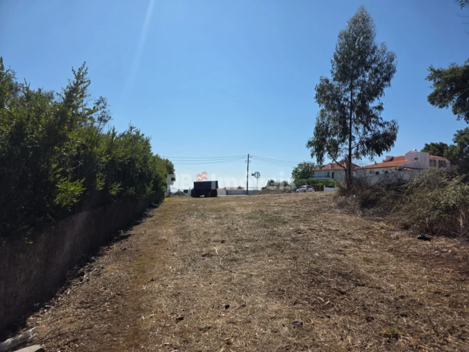 Terreno para Venda em Serra e Junceira Foto 16