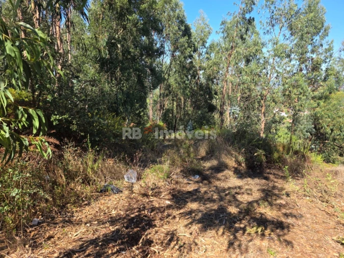 Terreno para Venda em Serra e Junceira Foto 17