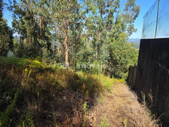 Terreno para Venda em Serra e Junceira Foto 18