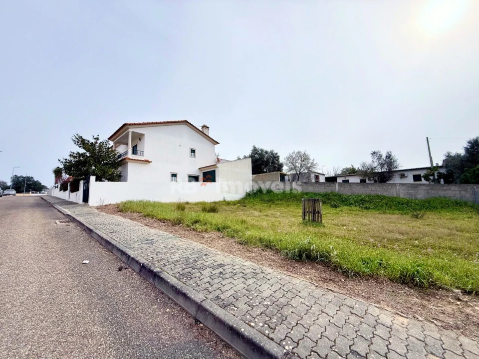 Terreno para Venda em Chamusca e Pinheiro Grande Foto 1