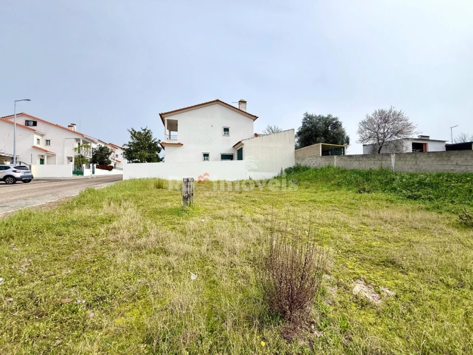 Terreno para Venda em Chamusca e Pinheiro Grande Foto 4