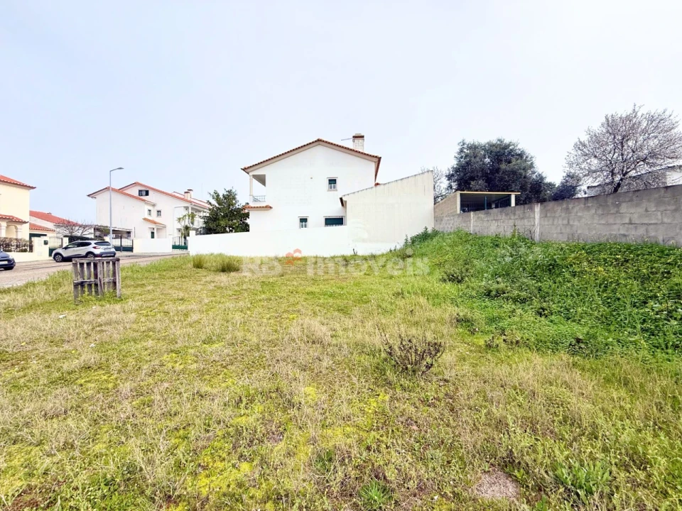 Terreno para Venda em Chamusca e Pinheiro Grande Foto 7