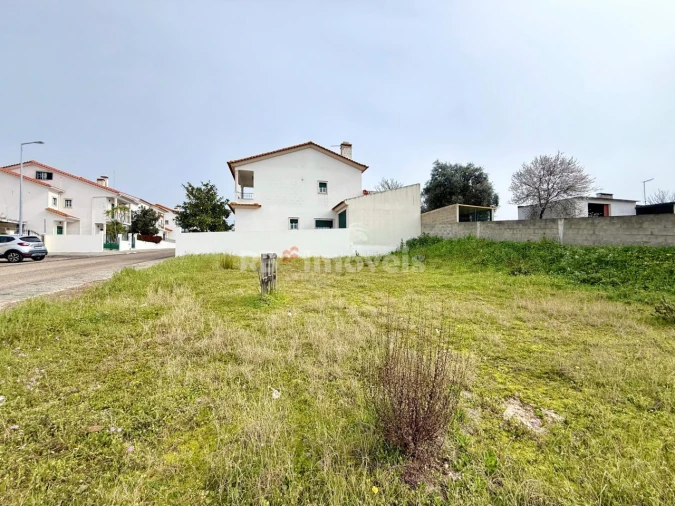 Terreno para Venda em Chamusca e Pinheiro Grande Foto 4